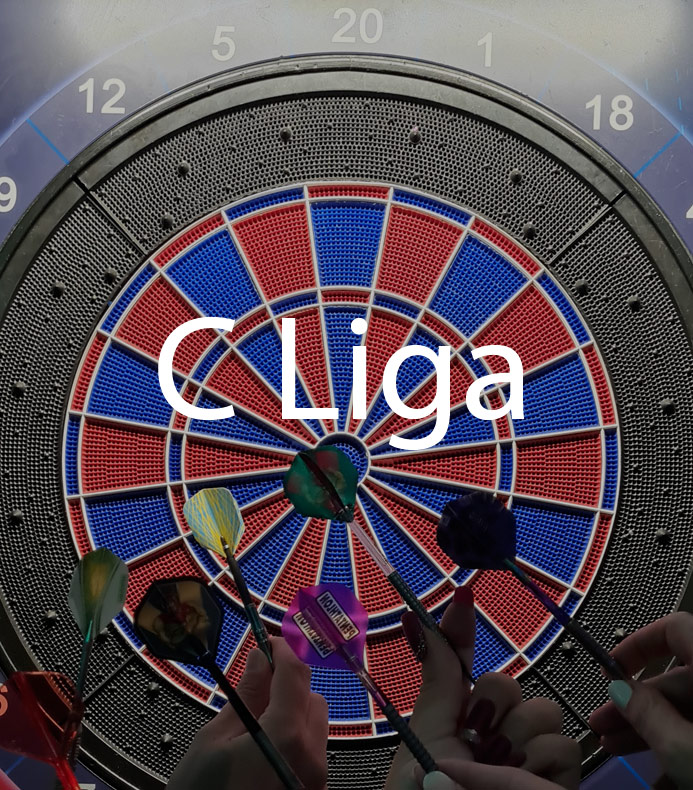 Einzelspieler C Liga